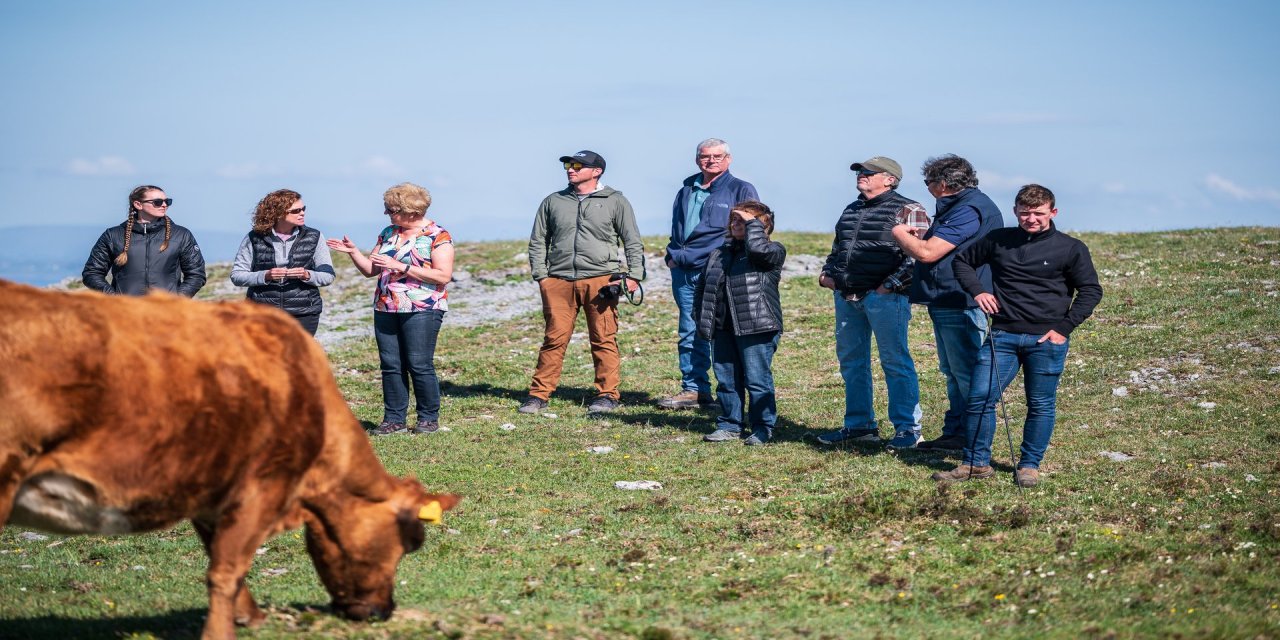Group tour on the mountain range with green grass and blue sky. Brown cow eating the grass to the left foreground of the image.